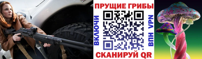 как найти закладки  Малгобек  Псилоцибиновые грибы мицелий 
